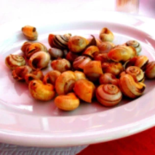 Apéro aux escargots (1)