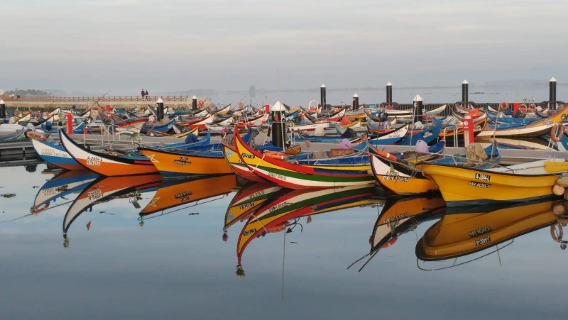 Lisboa Autêntica - Ria de Aveiro (1)