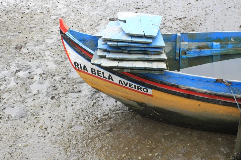 Lisboa Autêntica - Ria de Aveiro (11)
