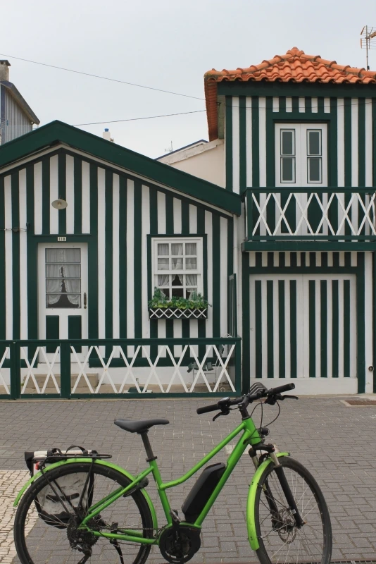 Lisboa Autêntica - Ria de Aveiro (16)