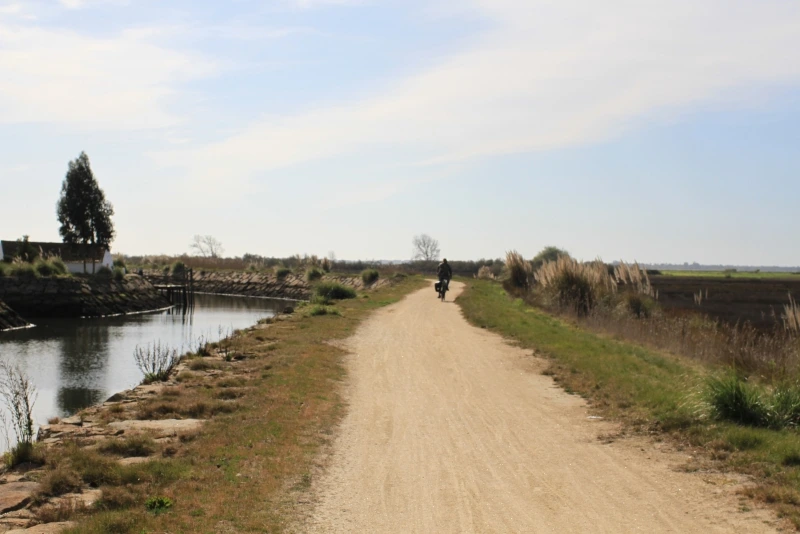 Lisboa Autêntica - Ria de Aveiro (12)