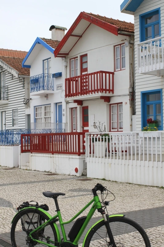 Lisboa Autêntica - Ria de Aveiro (7)
