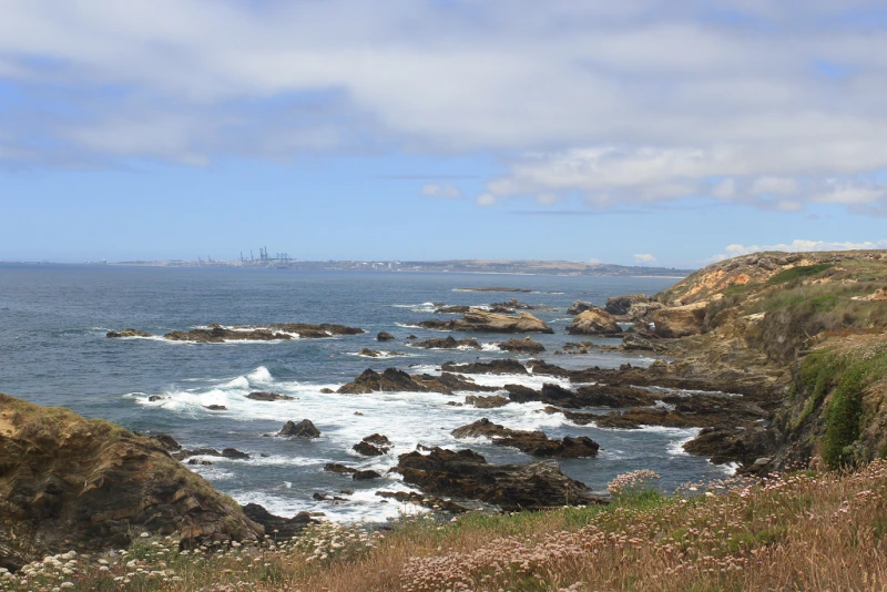 Lisboa Autêntica - Rota Vicentina Etapa 1 (6)