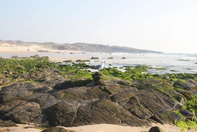 Lisboa Autêntica - Rota Vicentina Etapa 2, 3 (5)