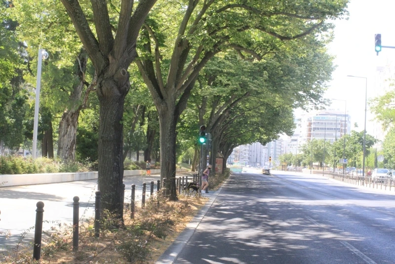 Lisboa Autêntica - Campo Grande (5)