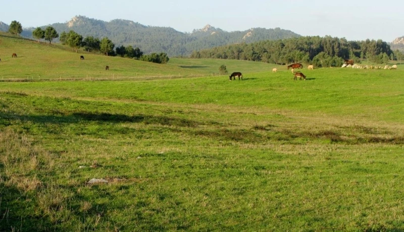 Lisboa Autêntica - Parque da Natureza (5)