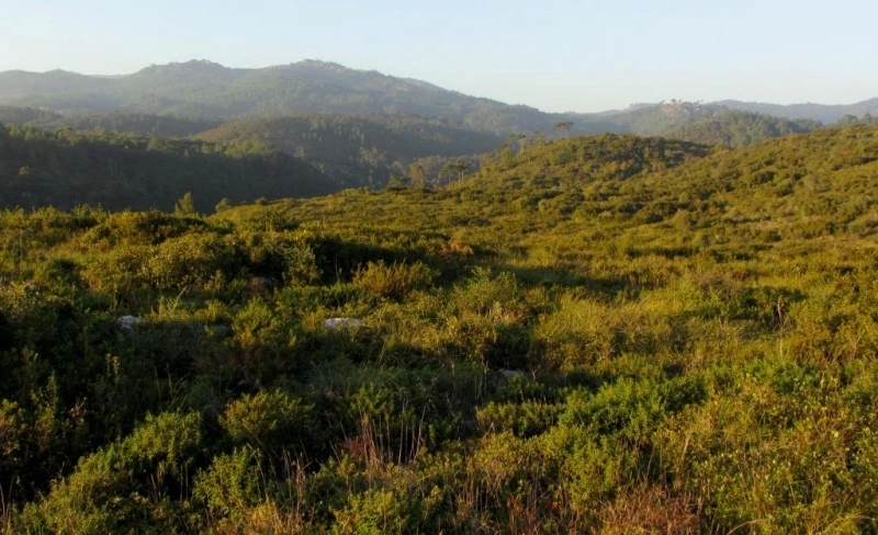 Lisboa Autêntica - Parque da Natureza (4)