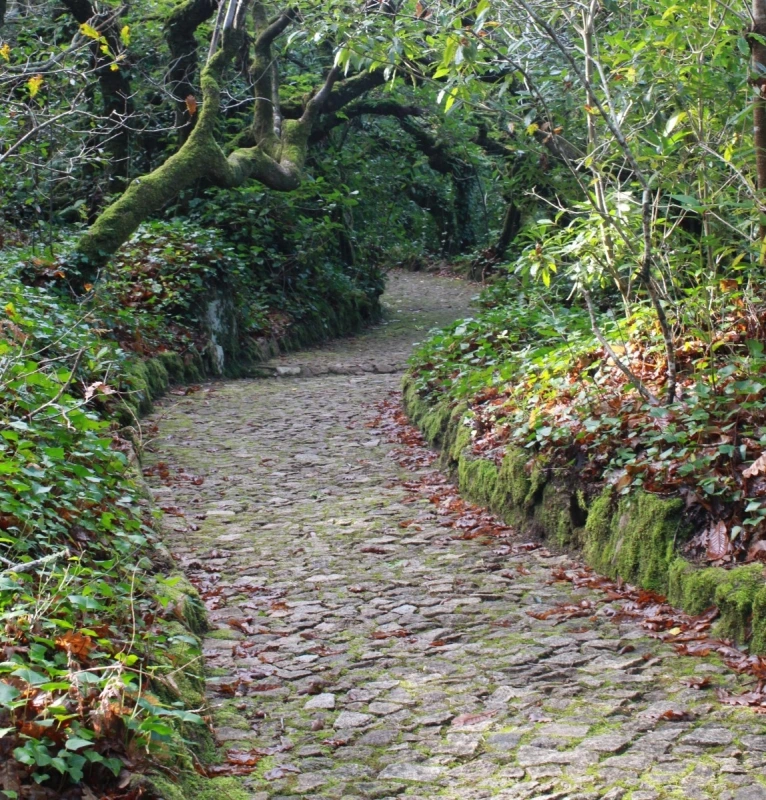 Lisboa Autêntica - Sintra Romântica (4)