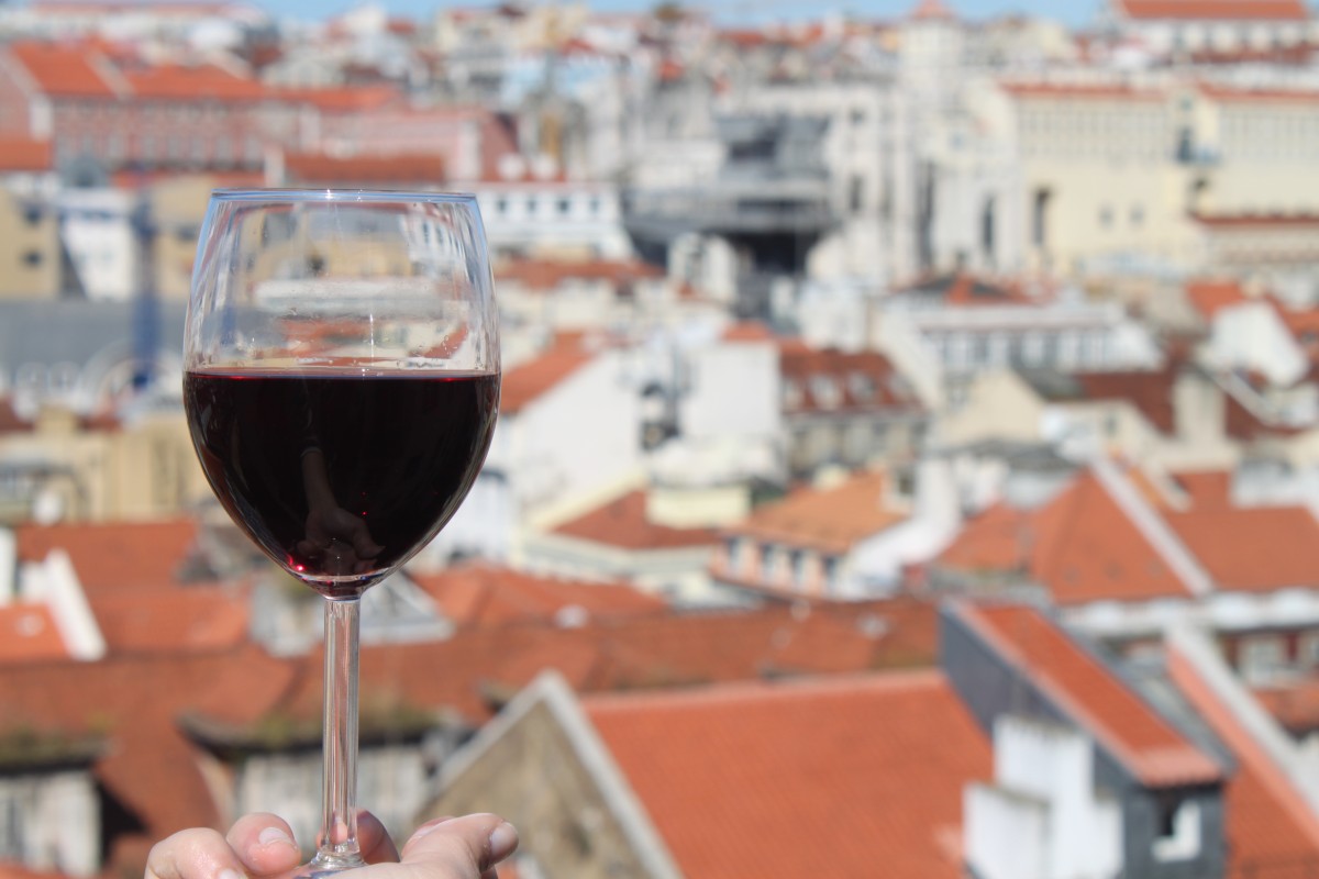 lisbon wine tour